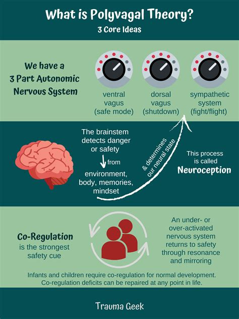 The Polyvagal Theory The Simplified Guide To Understanding Thepolyvagal Theory Chart
