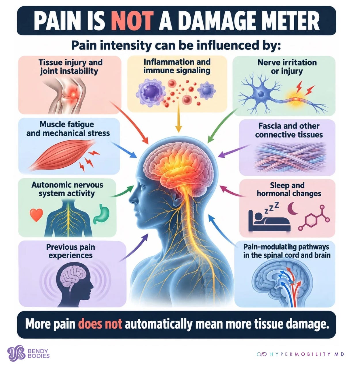 Mechanical Heat Examples Why Does My Whole Body Hurt? - The Bendy Bulletin