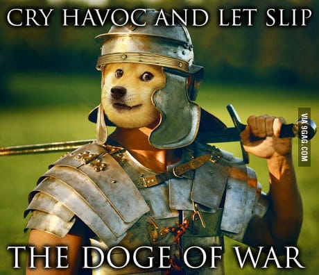 Unleash the doges of war and destroy the cate army. A true doge will  upvote. - 9GAG