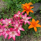 The Lonely Half of the "Best" Friendship: "I'm the one doing all the work"