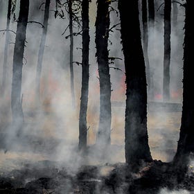 Don't Fear the Fire