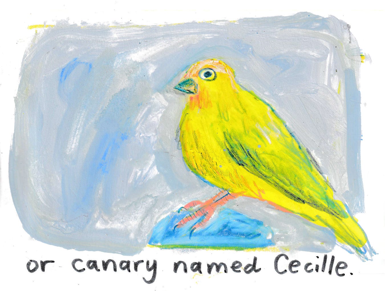 bird drawing by beth spencer