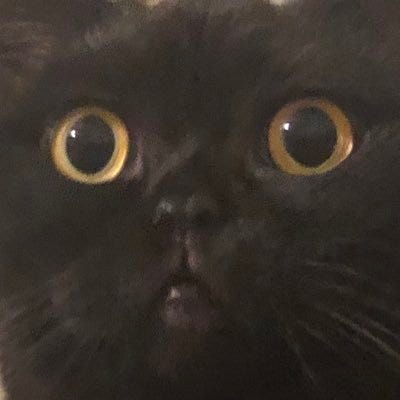 Substack profile picture for @teach