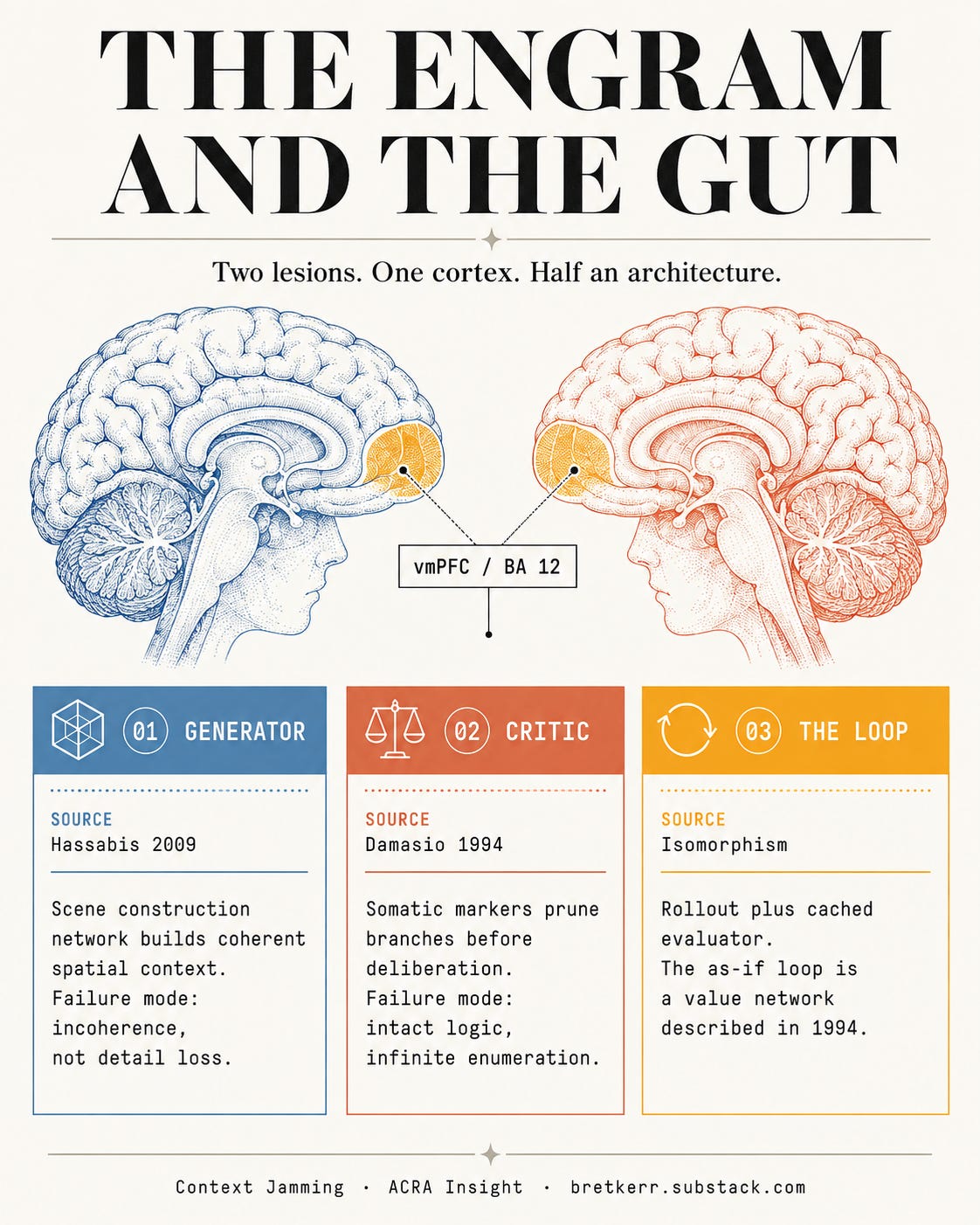 The Engram and the Gut