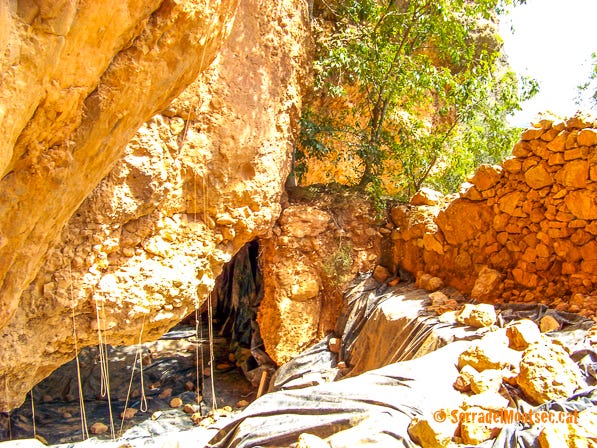 Jaciment de la Cova del Parco durant les excavacions. Alòs de Balaguer. La Noguera, Lleida. Catalunya. Montsec de Rúbies (o de Meià). Jaciment de la Cova del Parco durant les excavacions. Alòs de Balaguer. La Noguera, Lleida. Catalunya. Montsec de Rúbies (o de Meià).