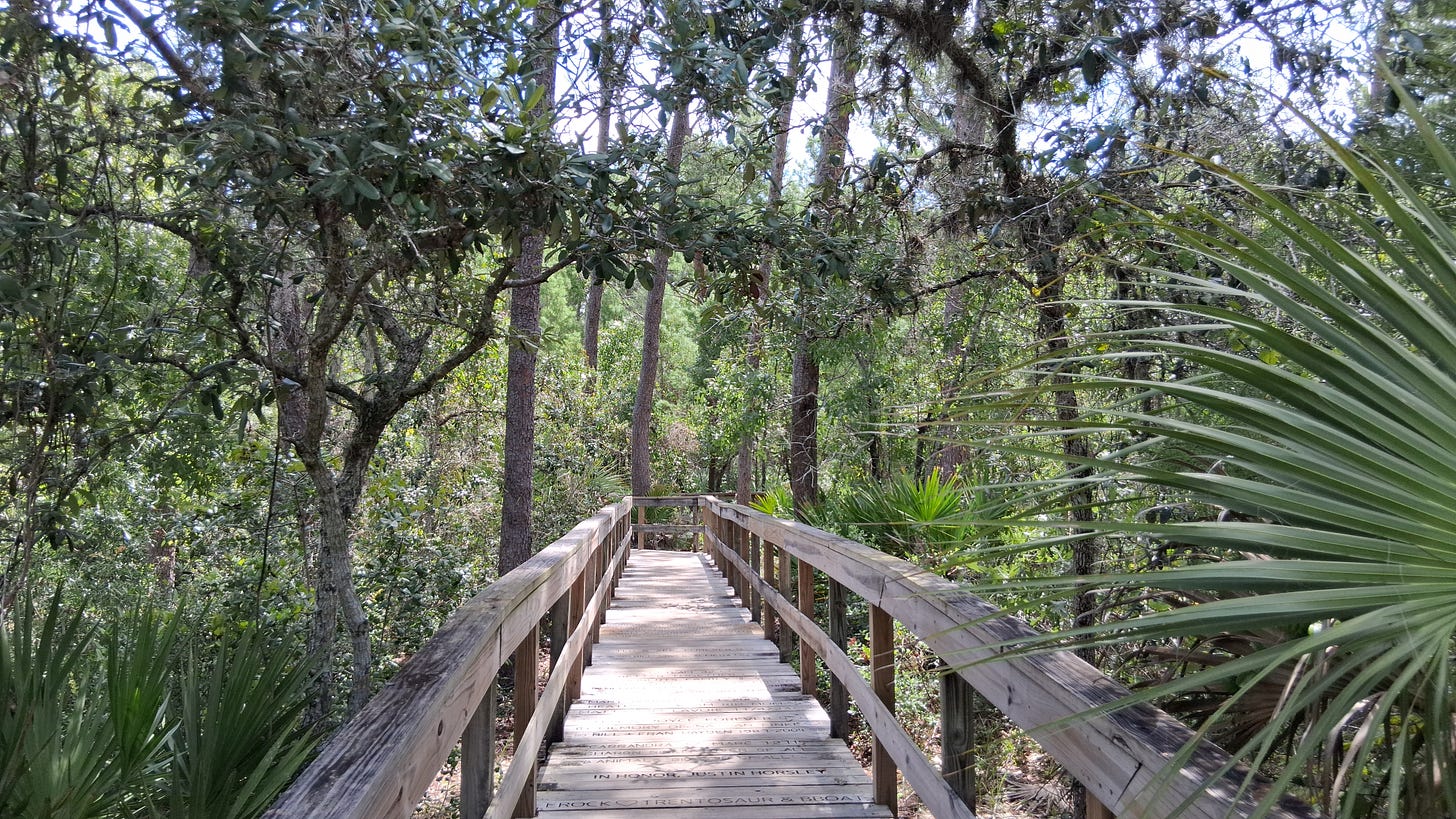 Boardwalk at Turkey Creek Sanctuary Park, Palm Bay, Florida