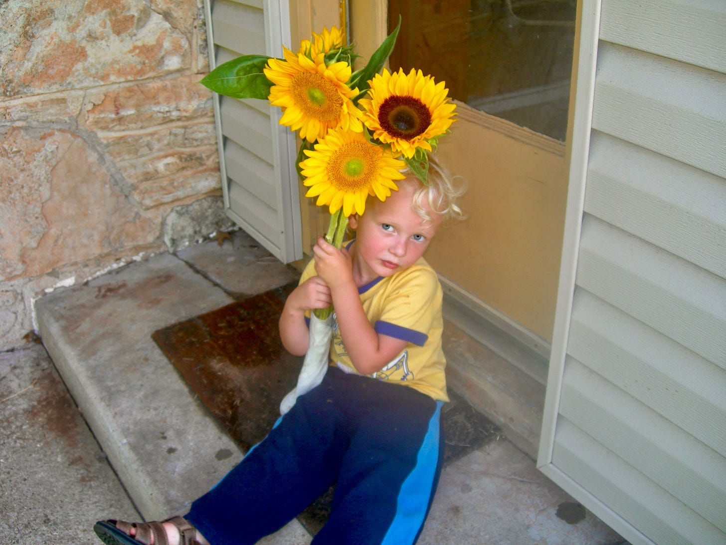 A small boy holds sunflowers as big as himself