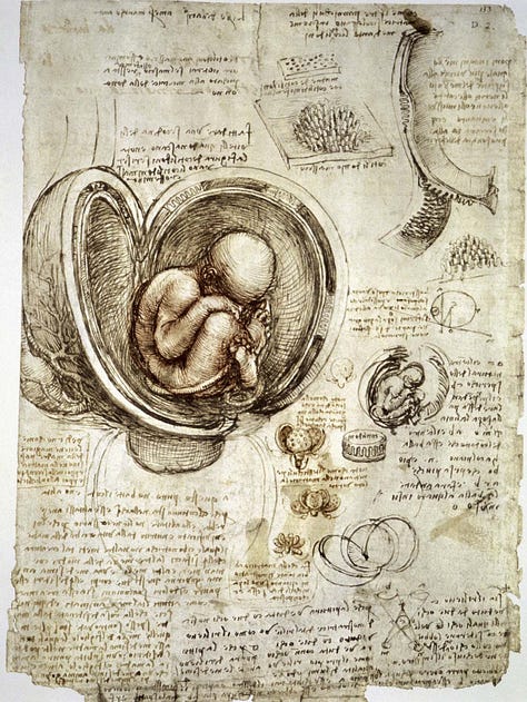 Leonardo's drew to create and gain understanding.
