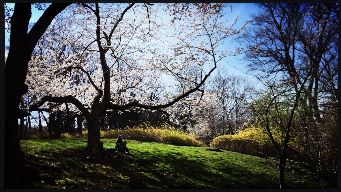 Northwest Georgetown April ANC Update | The Georgetown Metropolitan