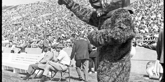 The IU bison mascot through the years