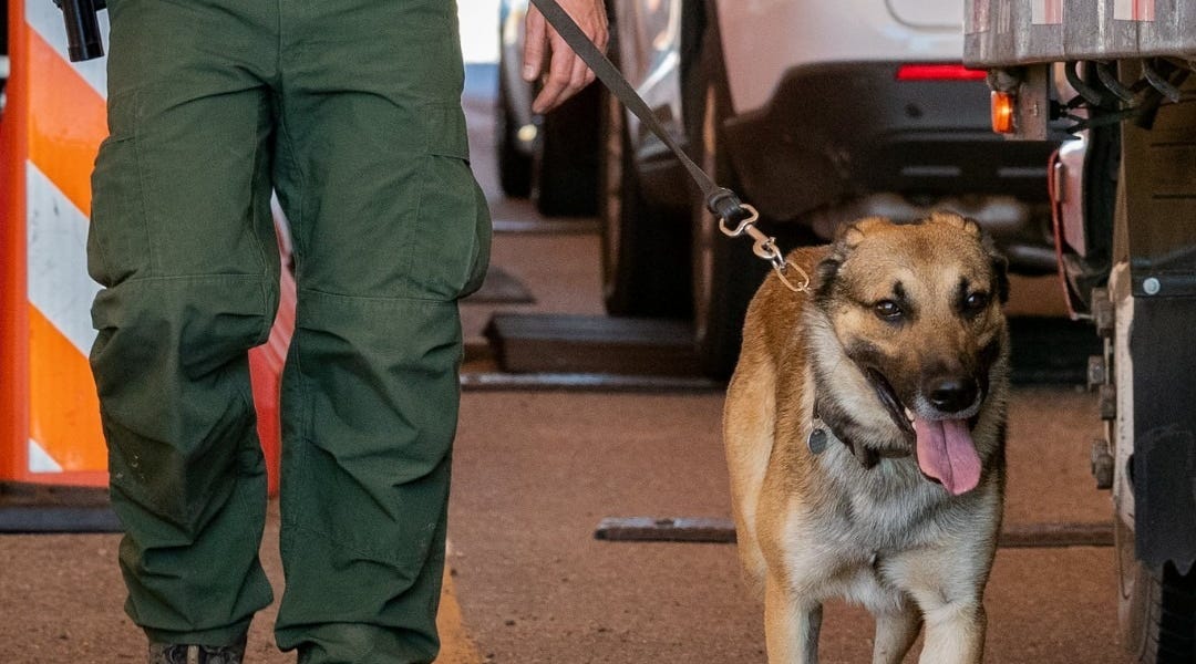 Cartels Have Rough Two Weeks in Southern California