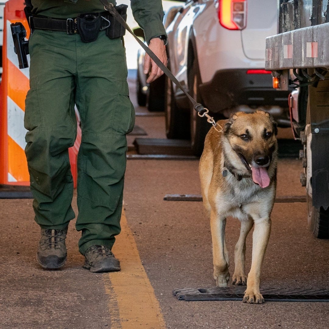 Border Patrol K-9s are proving to be an effective partner in the fight against cartel smuggling operations