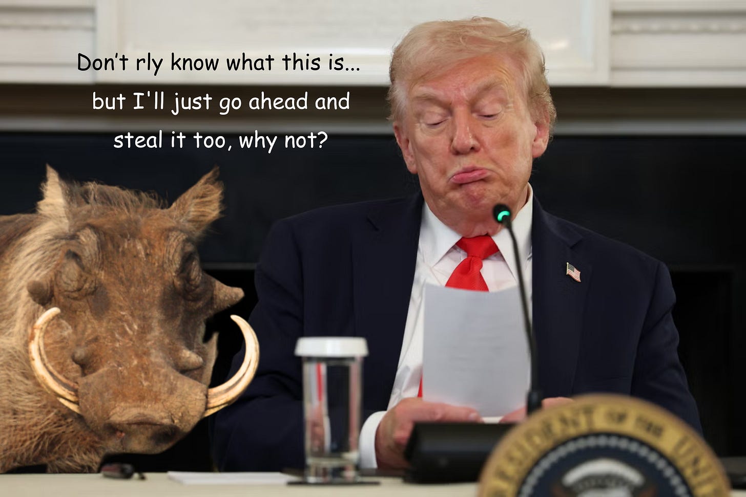 Warthog + Trump habeas corpus