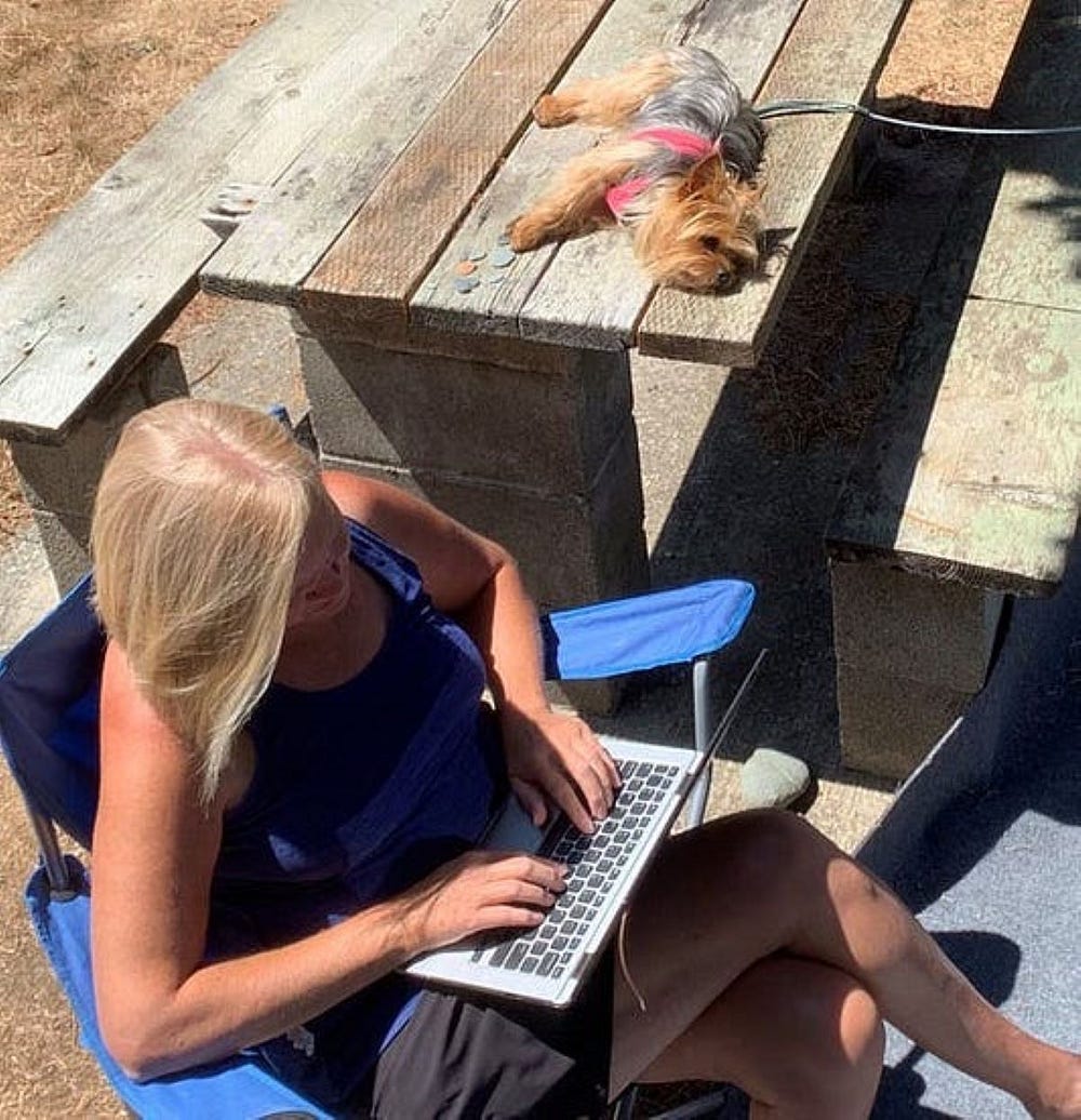 A woman sits outside in a lawn chair typing on a laptop. A Yorkshire Terrier, her dog, sleeps on the wood picnic table beside her.