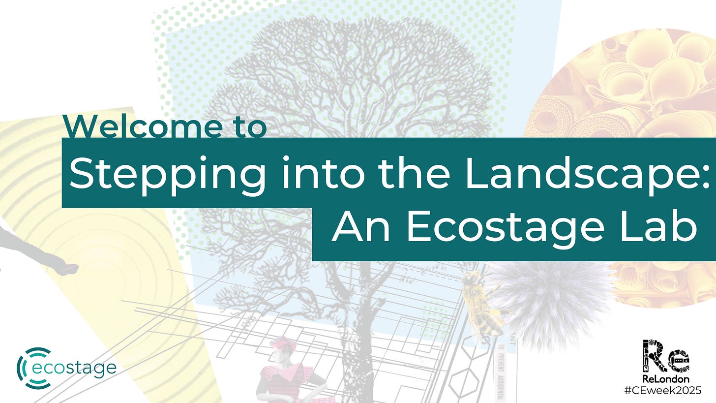 "Welcome to Stepping into the landscape: an ecostage lab" on a slide with the ecostage logo and ReLondon logo in the bottom corners. "Welcome to Stepping into the landscape: an ecostage lab" on a slide with the ecostage logo and ReLondon logo in the bottom corners.