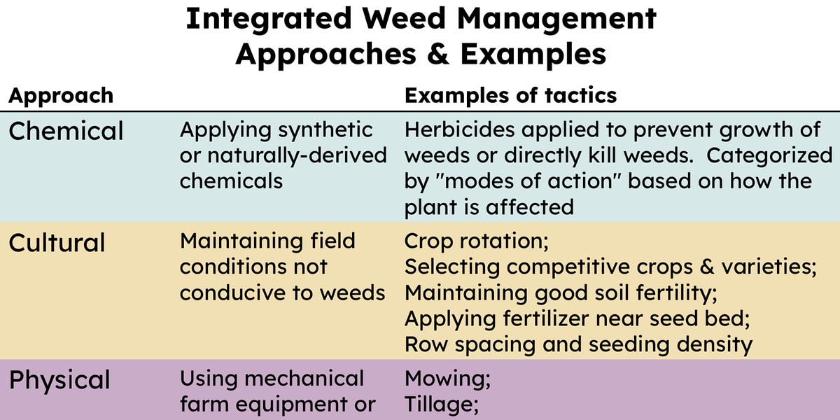 Weeds will decide the winners - by Ariel Patton - Topsoil
