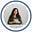 Elle's avatar