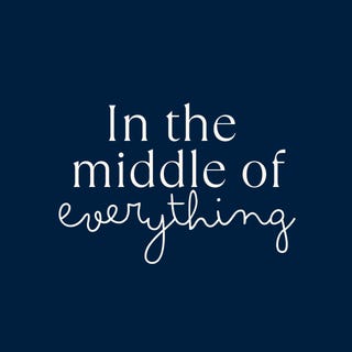 In the Middle of Everything logo