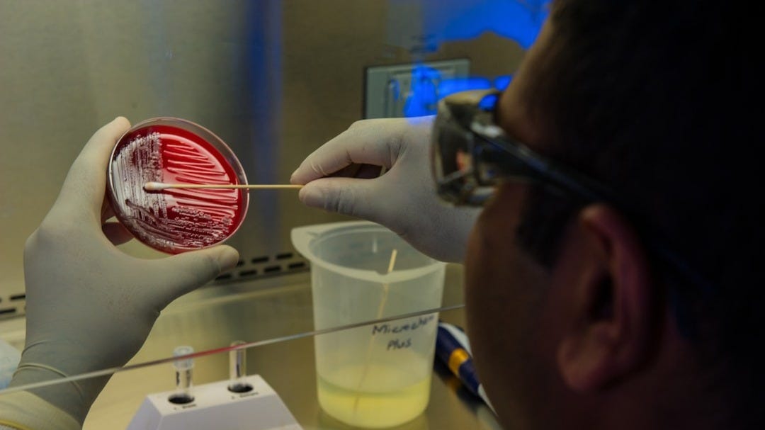 Promising Clinical Results Announced For New Drug Ibezapolstat