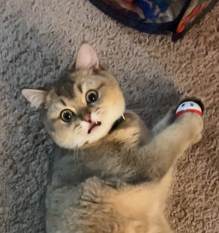 Two photos of baby Kevin, looking extra silly as he licks a toy ball and looking hilariously wide eyed and shocked at the camera.
