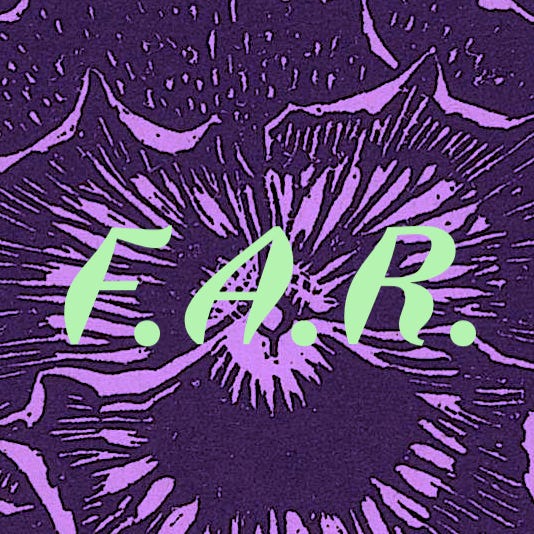 Newsletter FAR Recherche