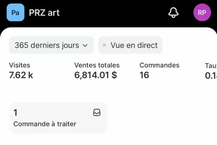 Dashboard Shopify PRZ Art — 6 814 $ de ventes sur 12 mois, 7 620 visiteurs, 16 commandes Dashboard Shopify PRZ Art — 6 814 $ de ventes sur 12 mois, 7 620 visiteurs, 16 commandes