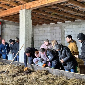 Hrană cu nutrienți | (vermi)compost