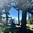 Montana: Lost Cause or Last Best Place?