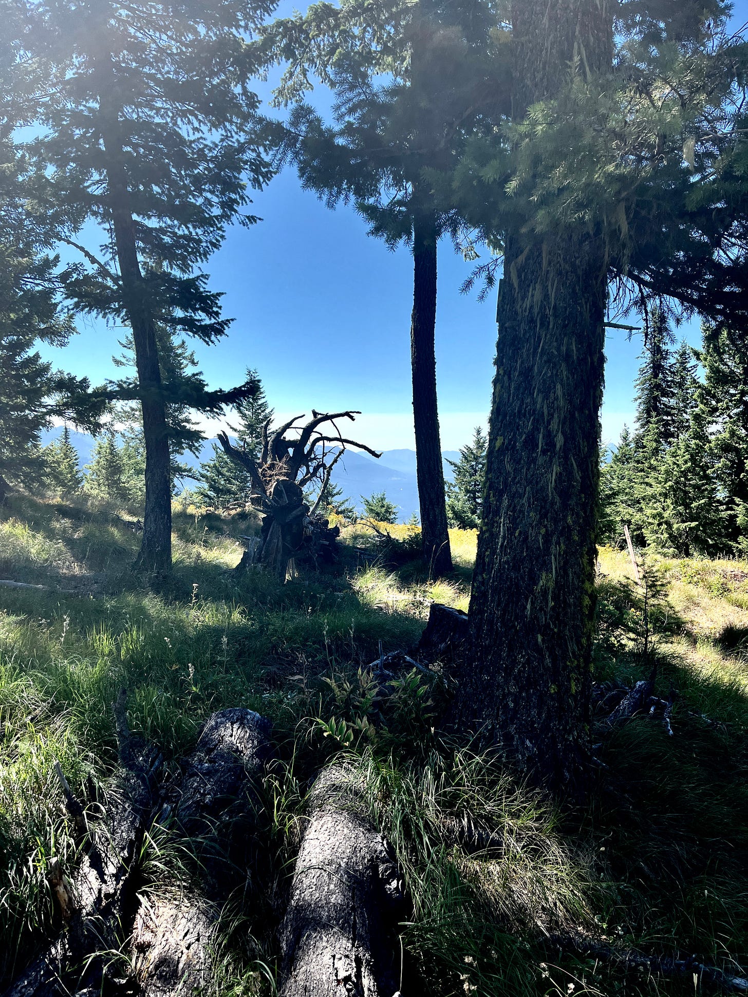 mountaintop vista