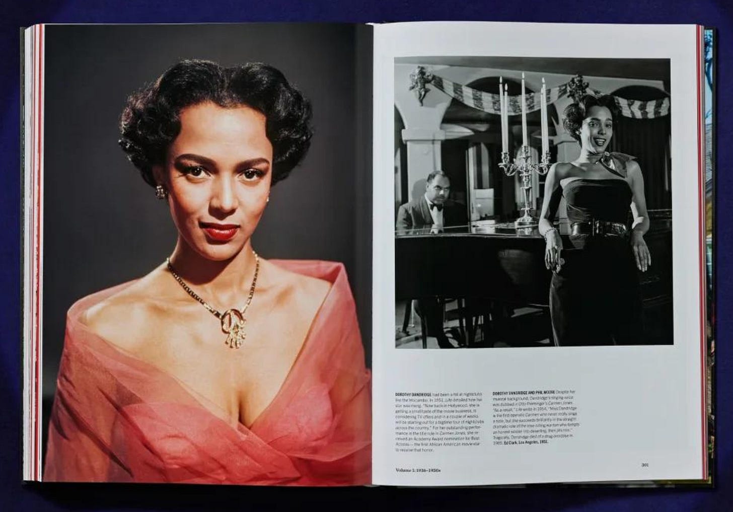 LIFE Hollywood | Maison & Tavola