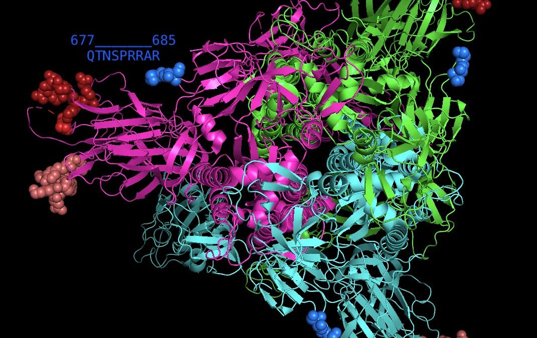cognitivecarbon.substack.com