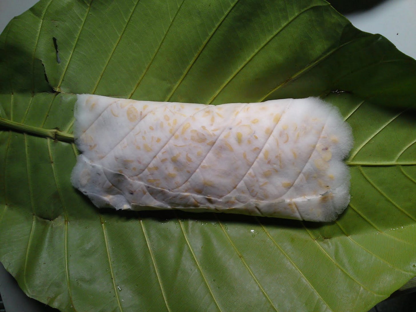 Discover The Easy Way How To Make Your Own Tempeh Starter | Tempe Bumbung