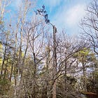 You are doing it. This is the It.