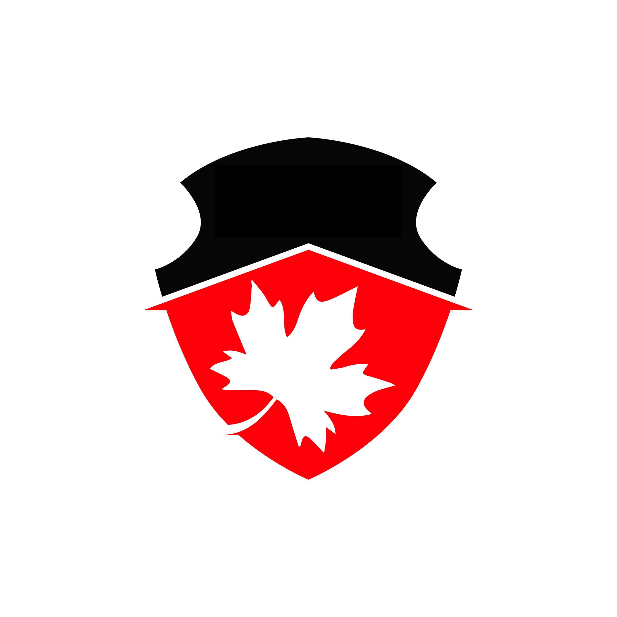 Canadian Defence and Security Network