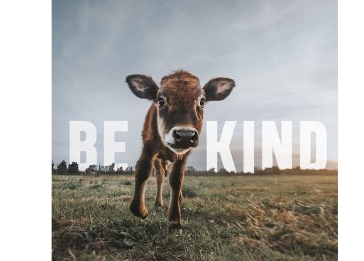 Kindness is the foundation of change. Lead with compassion, even when it’s challenging—kindness to animals, kindness to others, and kindness to yourself. A better world starts with small, thoughtful acts of love and respect. 💚🌱 Kindness is the foundation of change. Lead with compassion, even when it’s challenging—kindness to animals, kindness to others, and kindness to yourself. A better world starts with small, thoughtful acts of love and respect. 💚🌱