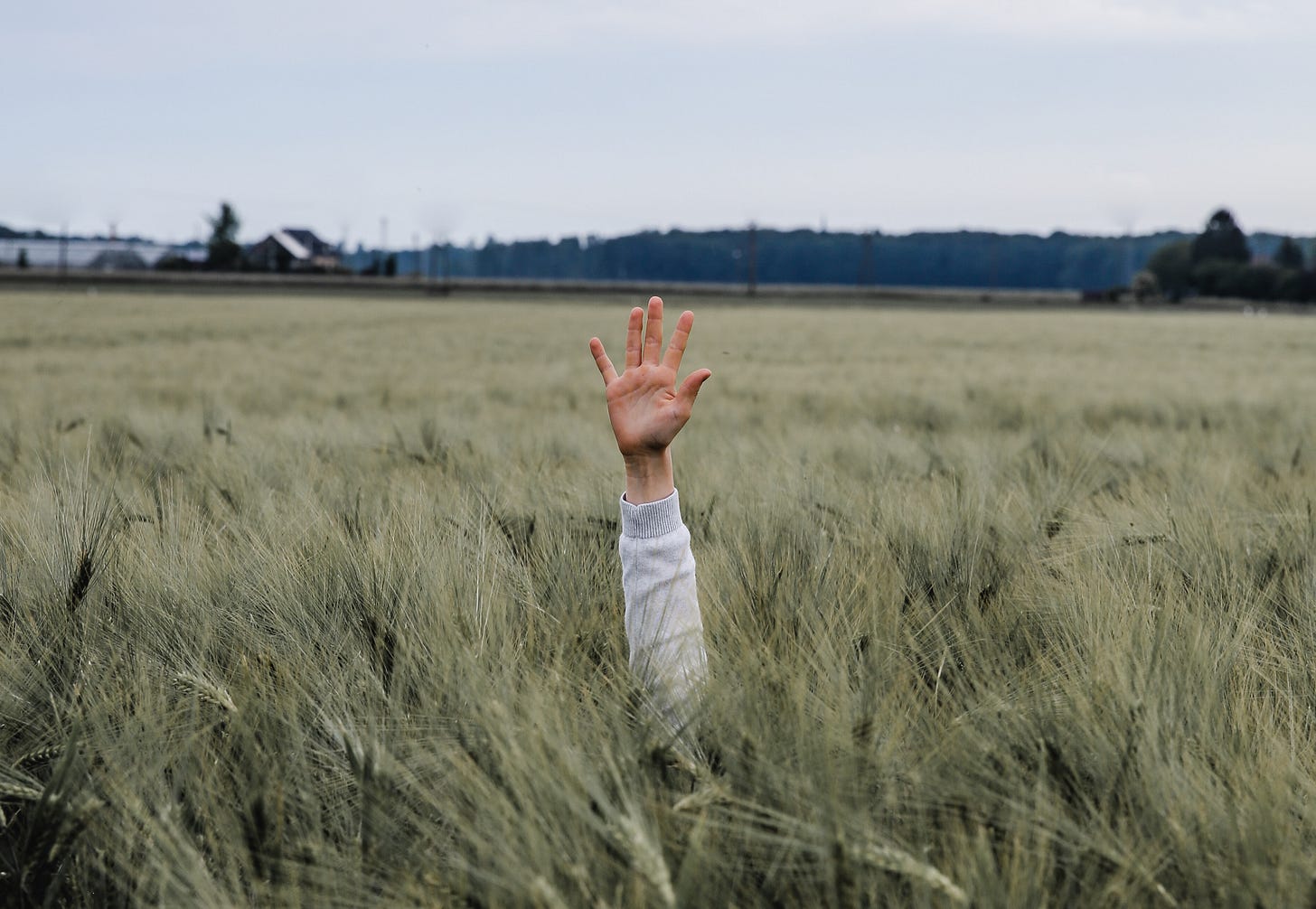 Hand in field searching for help