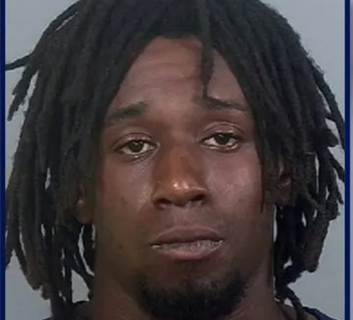 Man Arrested in Bradenton for Allegedly Throwing Cat Against Brick Wall