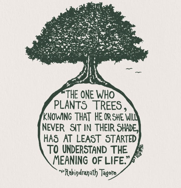 046: Slowing it all down! 046: Slowing it all down!