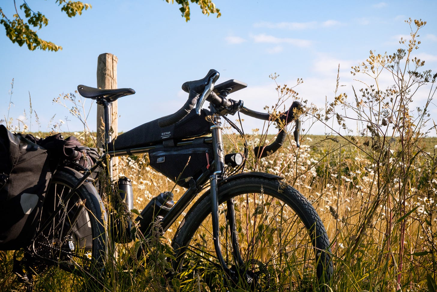 A bike rests against a fence with tall grasses growing around it.