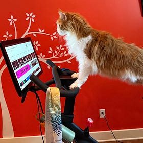 When Climbing the Bradford Hill