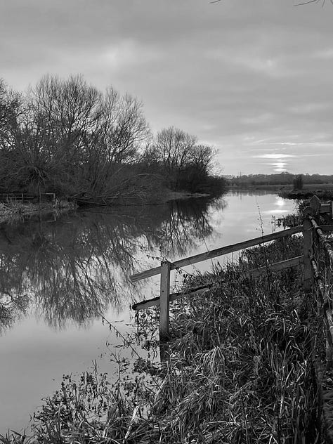 A tree in mist, black and white; a sunrise over the river; a curving river with fence, black and white
