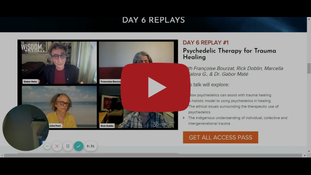 Event Hub Wisdom of Trauma Event Hub Wisdom of Trauma
