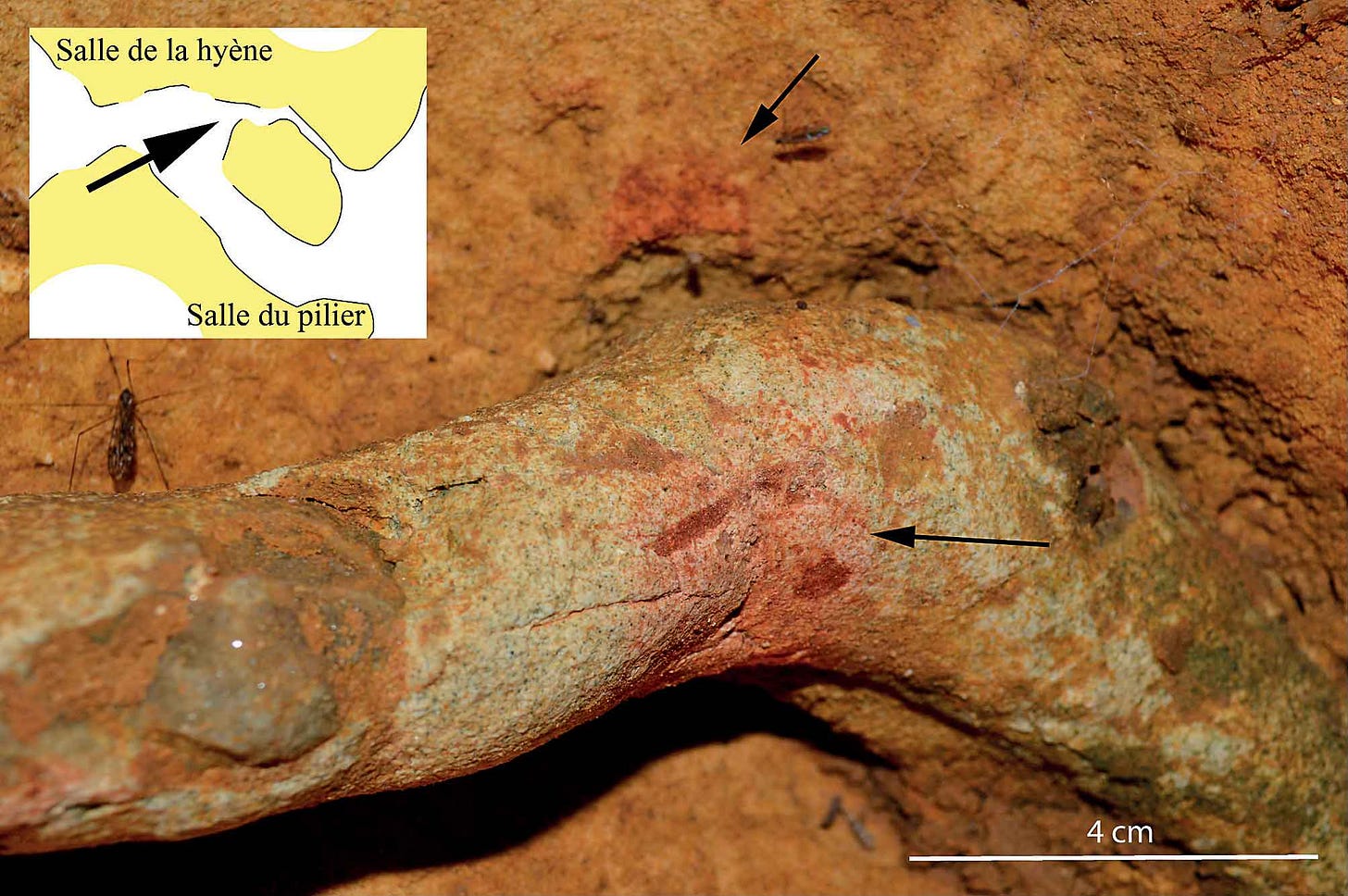 Rock formation with a cylindrical shape protruding from a cave wall, with two red marks visible. An inset diagram shows the location of these markings on a cave map between the Hyena Chamber and Pillar Chamber