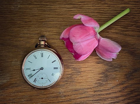 A selection of objects - watch, books, skull, candles - symbolising transience.