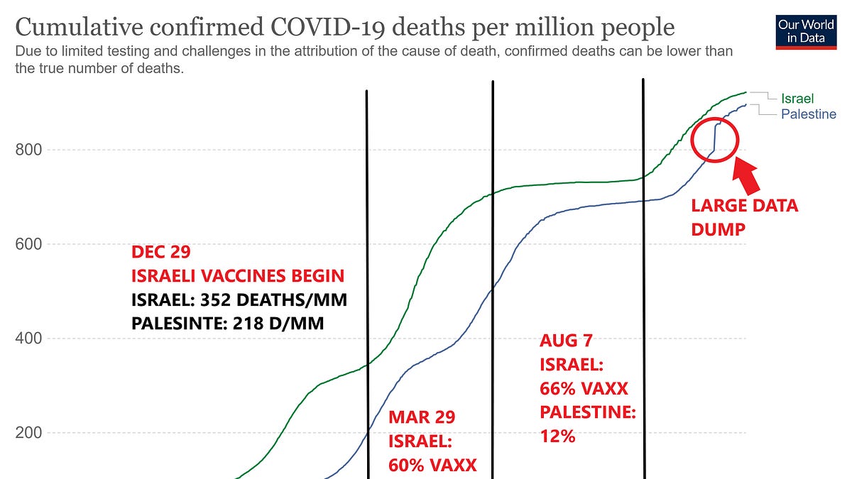 boriquagato.substack.com