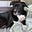 Steve Ingleston's avatar