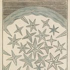 Eberesche - Ein Gedicht