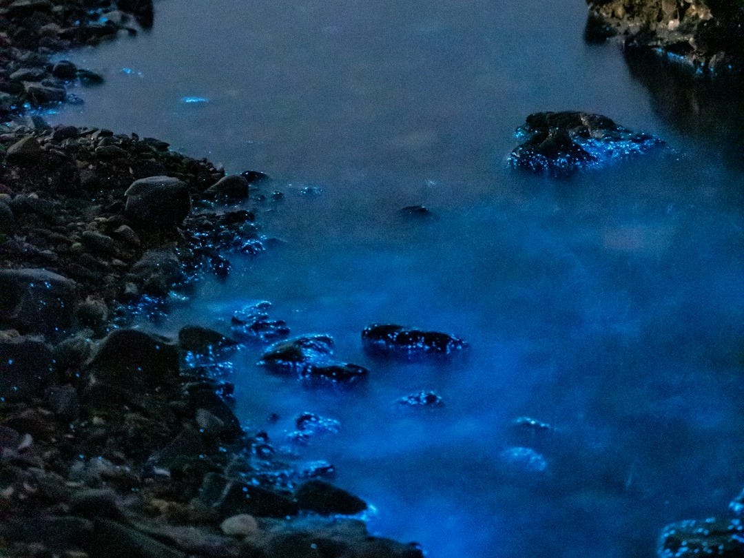 a body of water surrounded by rocks and water