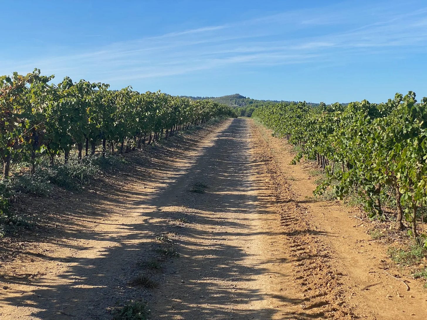 Comment j’ai choisi mon nouveau gravel Comment j’ai choisi mon nouveau gravel