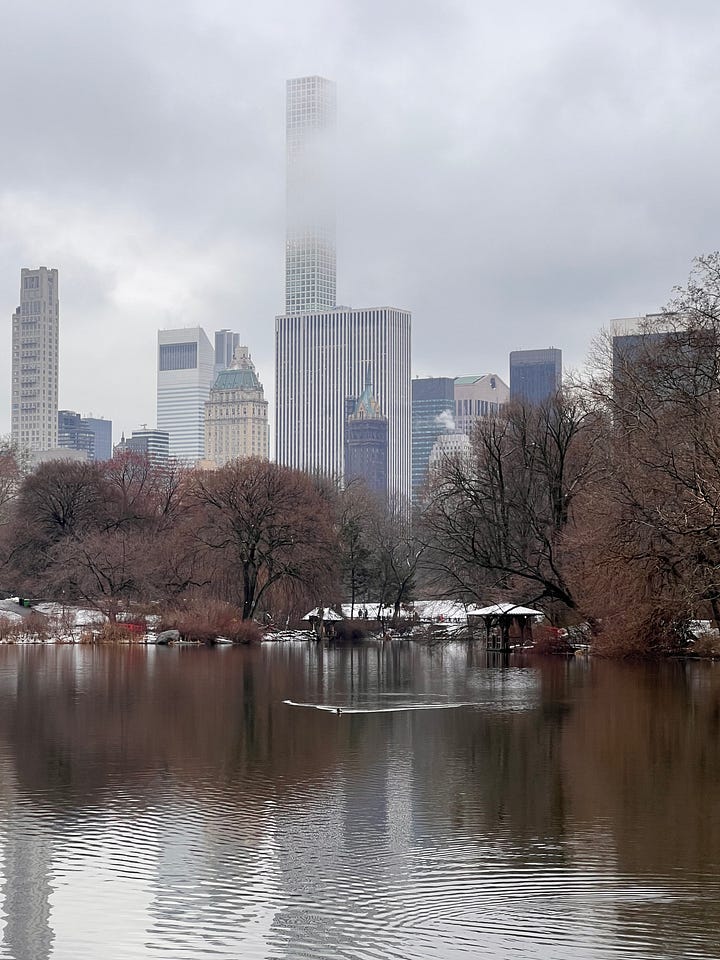 different photos of snow in Central Park & Katya looking happy